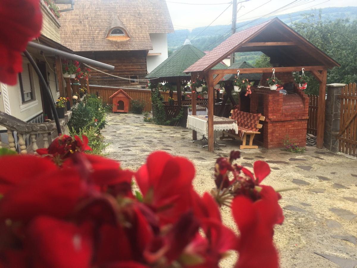 Отель Casa Ionela Petreus Пойениле-Изей Экстерьер фото